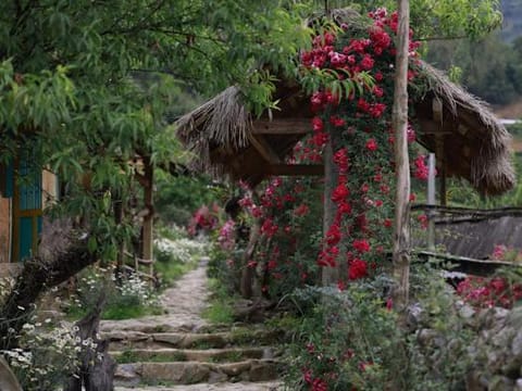 Garden, Garden