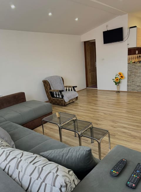 Apartman Zigic Apartment in Serbia