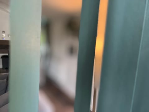 Jungle lodge House in Milford on Sea