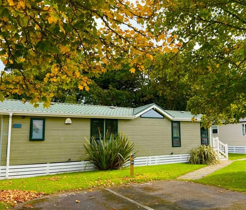 Jungle lodge House in Milford on Sea