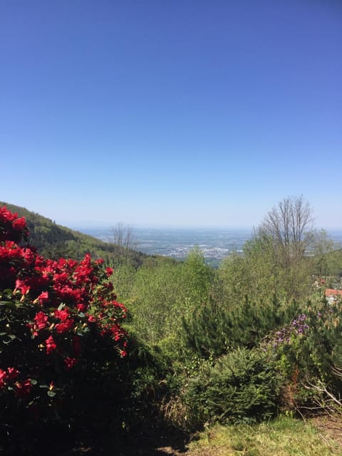 Natural landscape, View (from property/room)