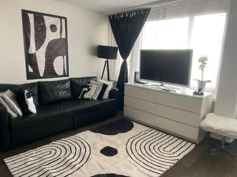 Executive Suite Top Location & Fast Free Wi-Fi & AC & Parking Apartment in Zurich City