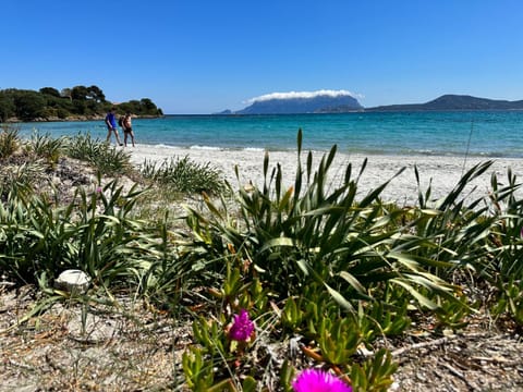 Monolocale a due passi dal mare Apartment in Pittulongu