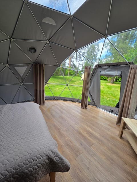 Day, Living room, Garden view