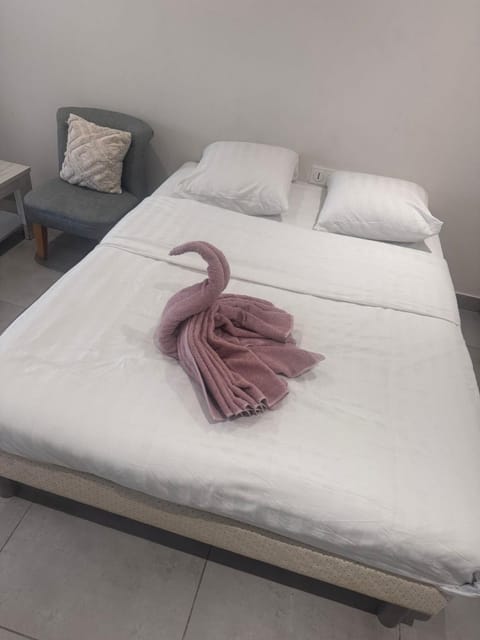 Studio en centre ville Apartment in Bourgogne-Franche-Comté