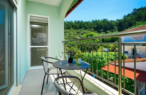 Zoi's house Apartment in Thasos