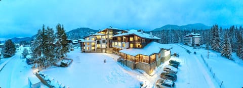 Property building, Natural landscape, Bird's eye view, Winter, Mountain view
