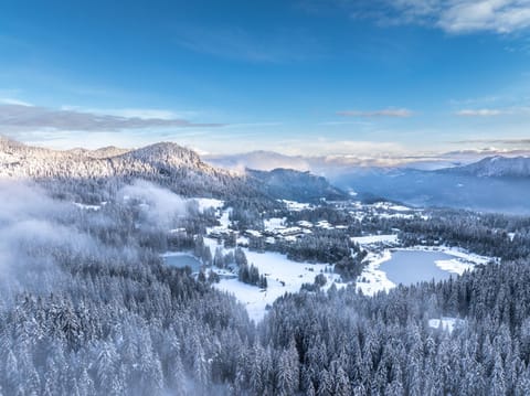 Day, Natural landscape, Winter, Mountain view