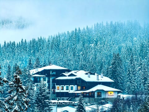 Property building, Day, Natural landscape, Winter, Mountain view