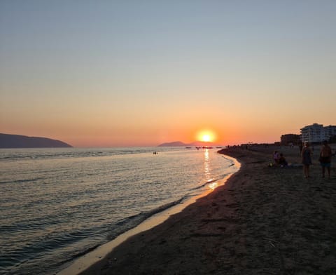 Natural landscape, Summer, Beach, Sunset