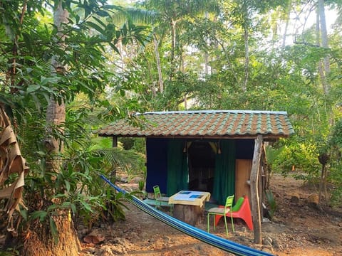 Patio, Facade/entrance, Garden view