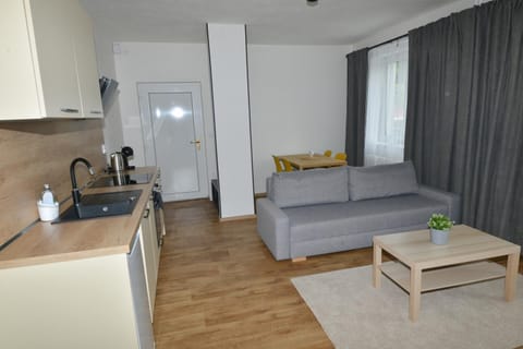 Kitchen or kitchenette, Living room, Seating area, Dining area