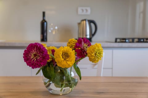 Communal kitchen