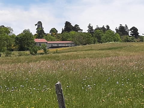 Natural landscape