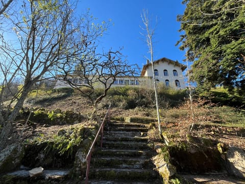 Property building, Facade/entrance, Garden