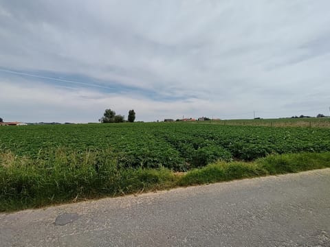Natural landscape, View (from property/room), Hiking