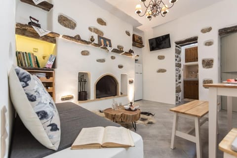 Library, TV and multimedia, Living room, Seating area
