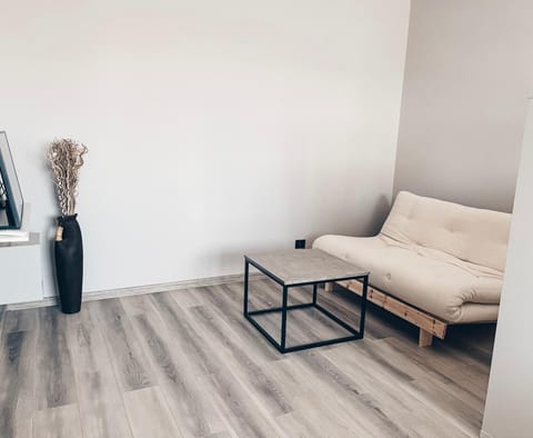 Pavasario g. apartamentai Apartment in Lithuania