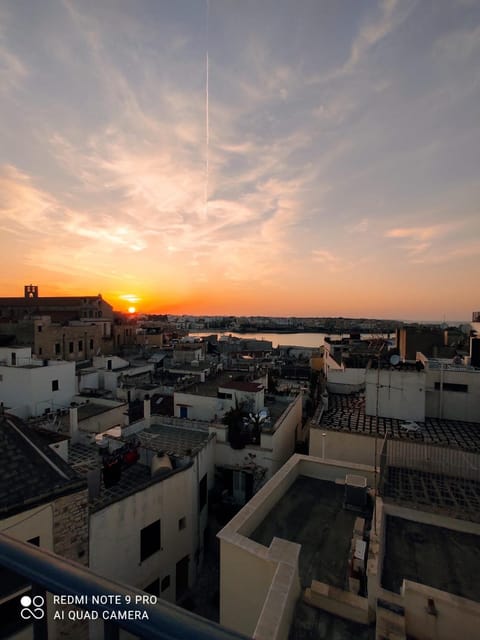 Day, Natural landscape, Bird's eye view, Balcony/Terrace, City view, Sunset