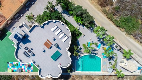 Day, Bird's eye view, Pool view, Swimming pool, sunbed
