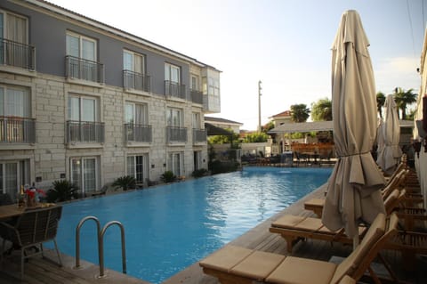 Garden, Swimming pool