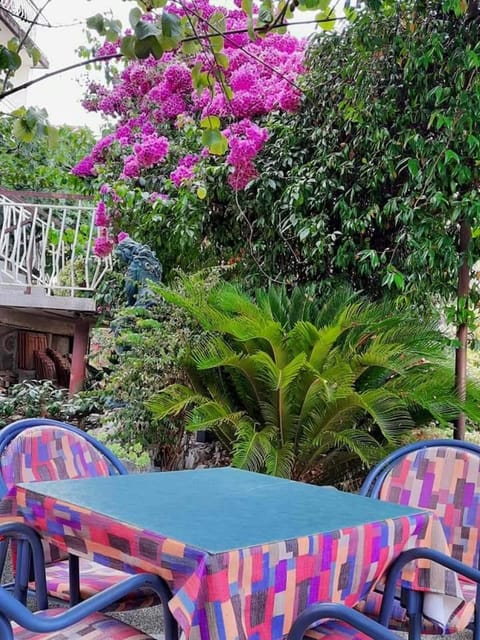 Privatan smeštaj Igalo Bed and Breakfast in Dubrovnik-Neretva County