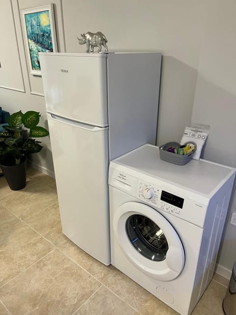 Kitchen or kitchenette, washing machine