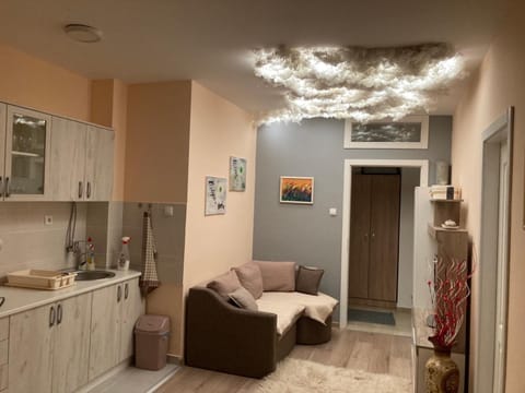 Kitchen or kitchenette, Living room, Seating area, stove