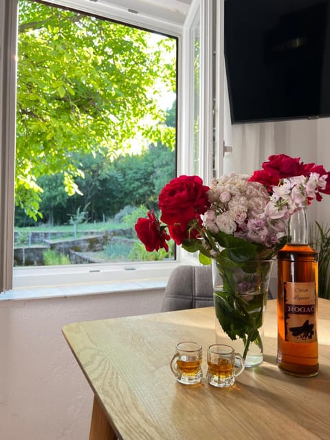 Apartman ANA Apartment in Šibenik-Knin County, Croatia