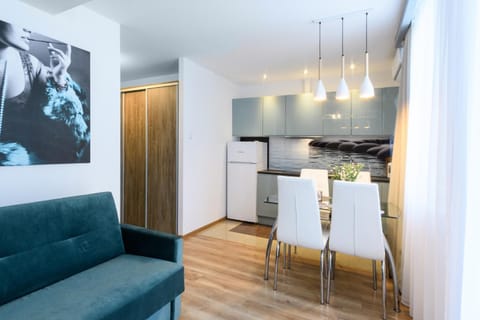 Kitchen or kitchenette, Living room, Dining area, oven, stove