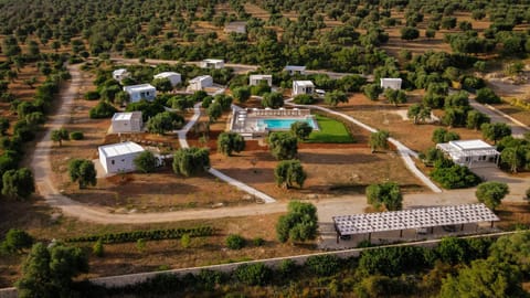 Property building, Neighbourhood, Bird's eye view