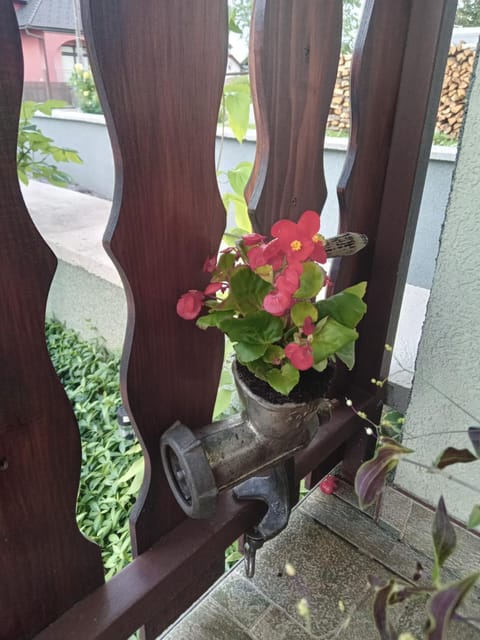 Apartman Bepo Apartment in Lika-Senj County