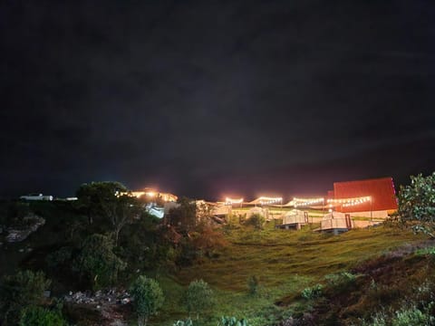 Night, Natural landscape