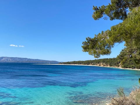 Nearby landmark, Summer, Beach