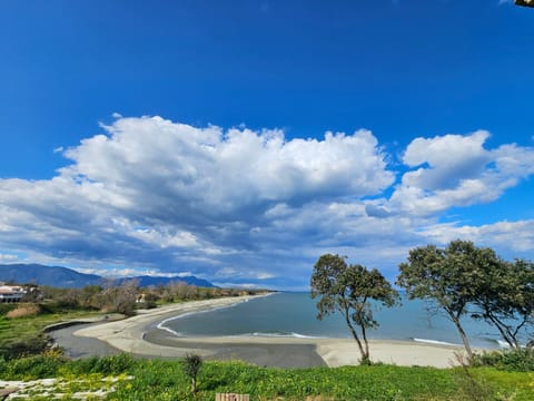 Nearby landmark, Beach