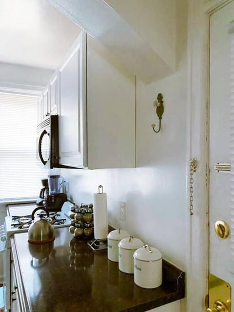 (53.1N) Walk to Forest Park in Comfort! Apartment in Saint Louis