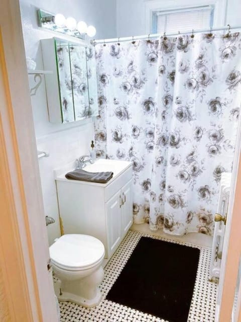 (53.1N) Walk to Forest Park in Comfort! Apartment in Saint Louis