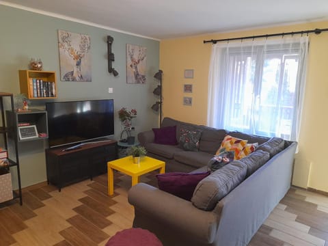 Communal lounge/ TV room, Living room