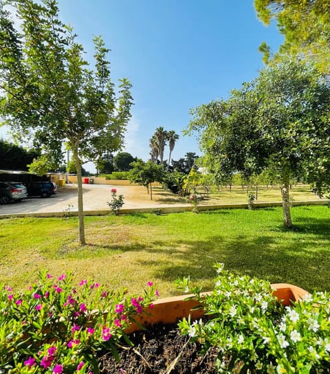 Day, Natural landscape, Garden