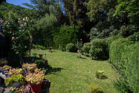 Natural landscape, Garden, Garden view