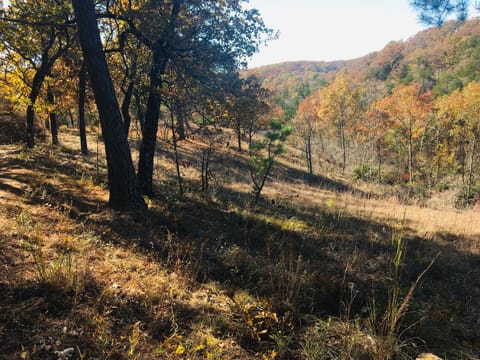 Beautiful Parkside Suite Apartment in Ozark Mountains