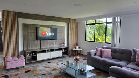 TV and multimedia, Living room