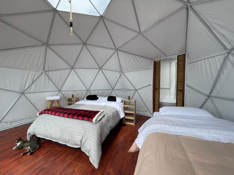 Bed, Solarium, Photo of the whole room, Bedroom