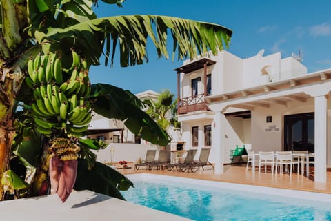 Property building, Patio, Day, Garden, Garden view, Pool view, Swimming pool, sunbed