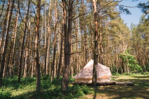 Natur Camp Glamping Birštonas Luxury tent in Lithuania