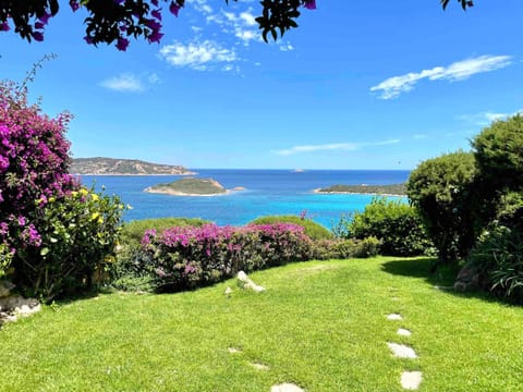 Natural landscape, Garden, Sea view