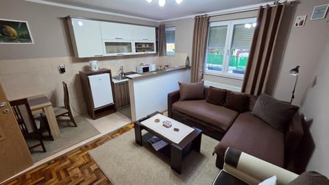 Kitchen or kitchenette, Living room, Seating area, Dining area, stove