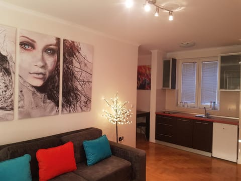 Rajiceva 5- apartman sa prostranom terasom i garaznim mestom Apartment in Serbia