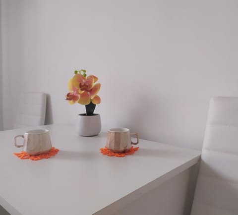 Apartman LEO Apartment in Vojvodina
