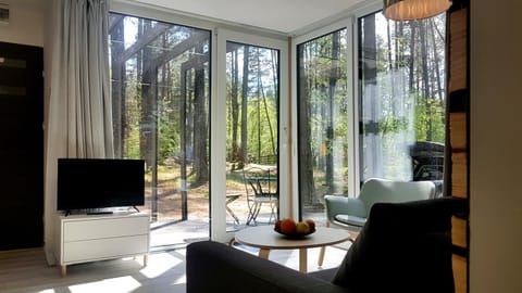TV and multimedia, Living room, Garden view